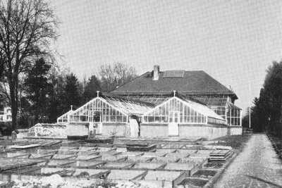 2. Garten Gewächshäuser 1914