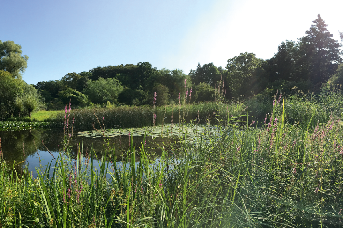 Start / Botanischer Garten Frankfurt