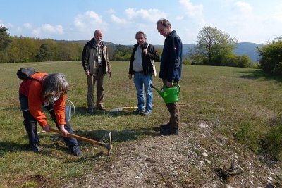 Dabei werden sie von Sonja Kraft (Landschaftspflegeverband des Rheingau-Taunus-Kreises) kräftig unterstützt.