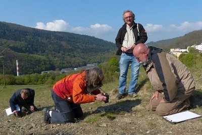 Nach eifriger Suche entdecken wir die unscheinbaren Pflanzen…