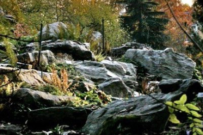 Alpinum