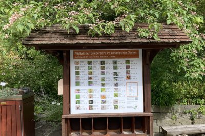Vielfalt der Gliedertiere im Botanischen Garten