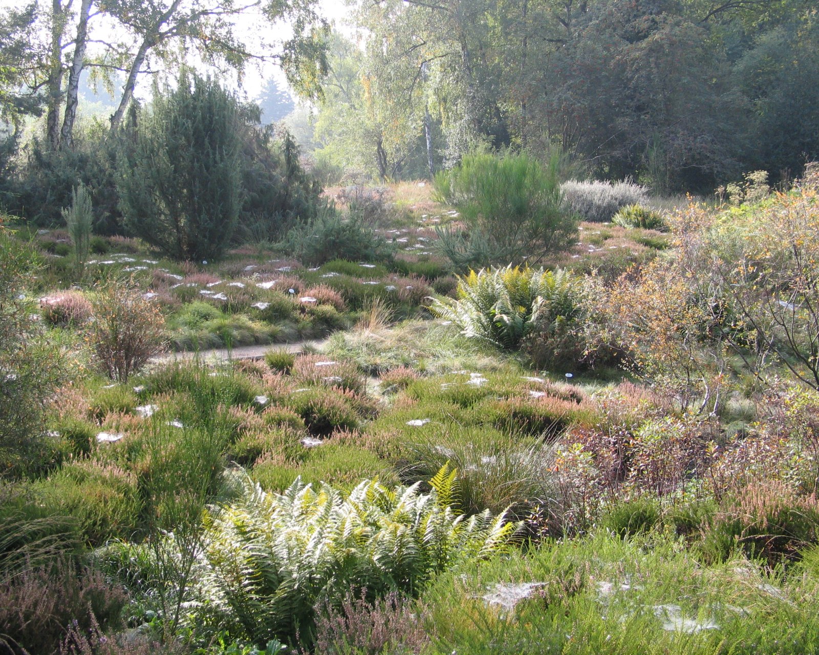 Start / Botanischer Garten Frankfurt