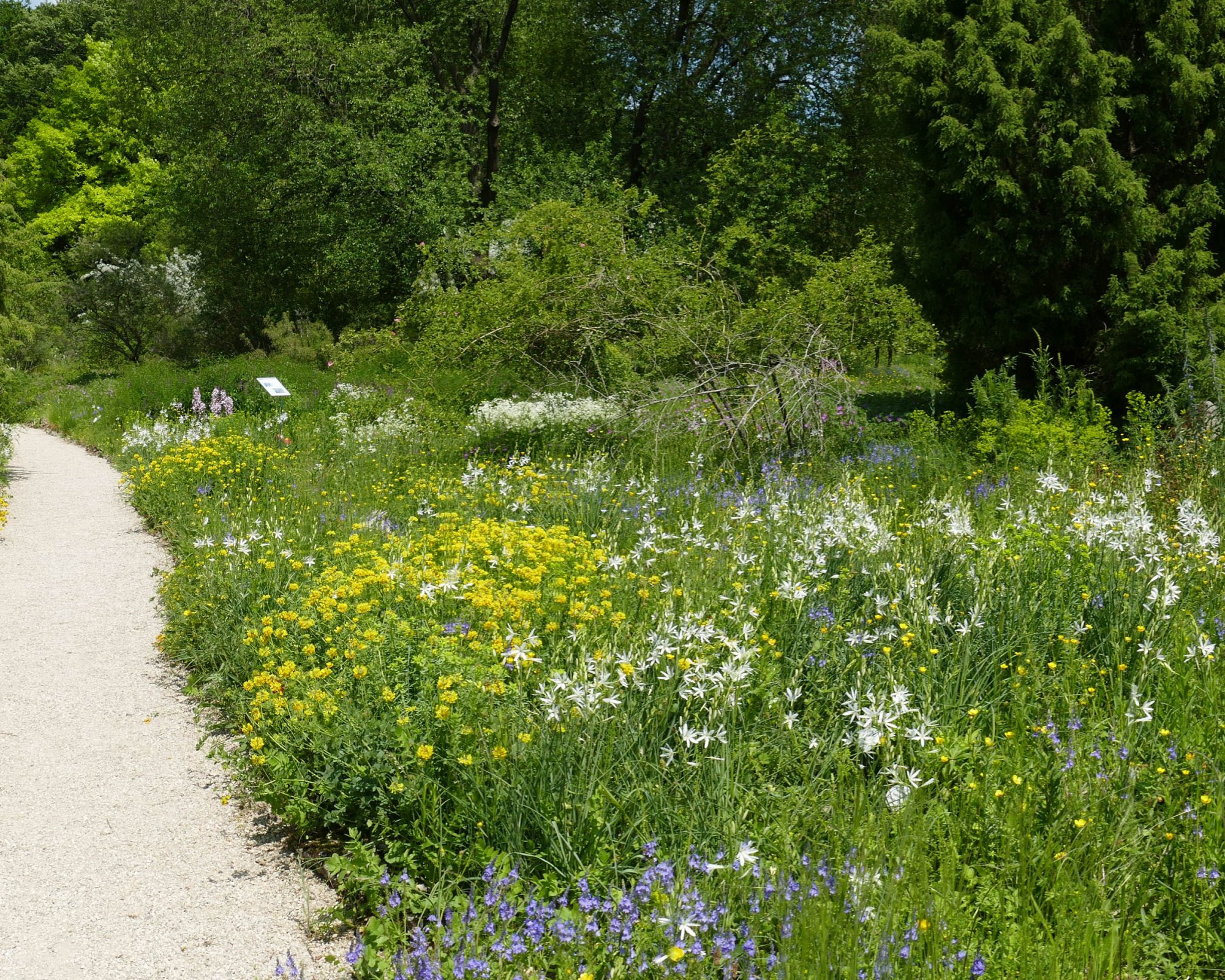 Start / Botanischer Garten Frankfurt