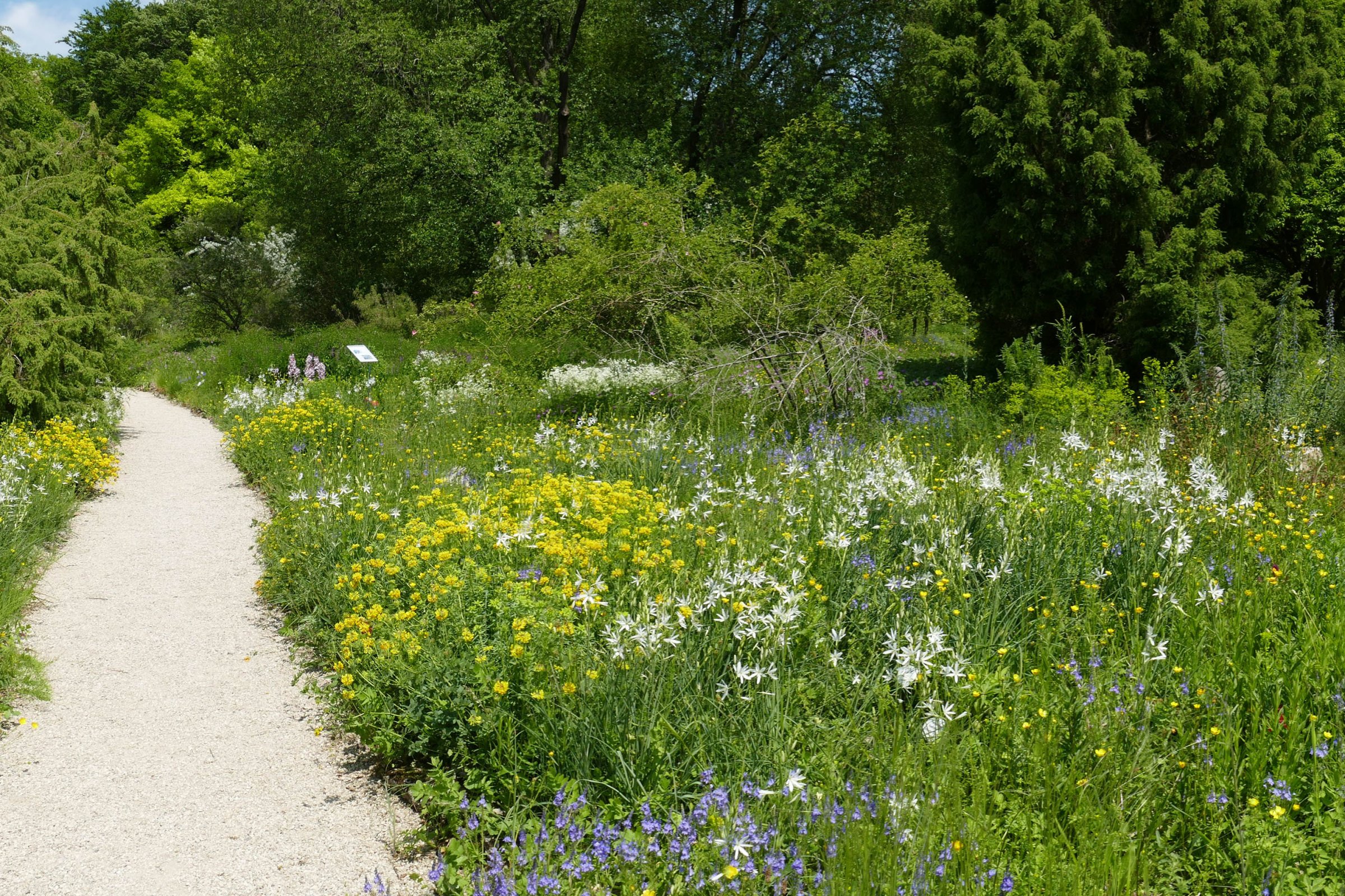 Botanischer Garten Francfort