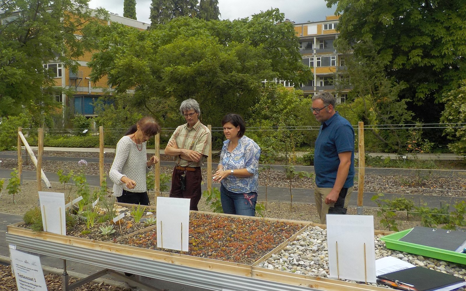 Wir diskutieren die Gestaltung der Schauanlage