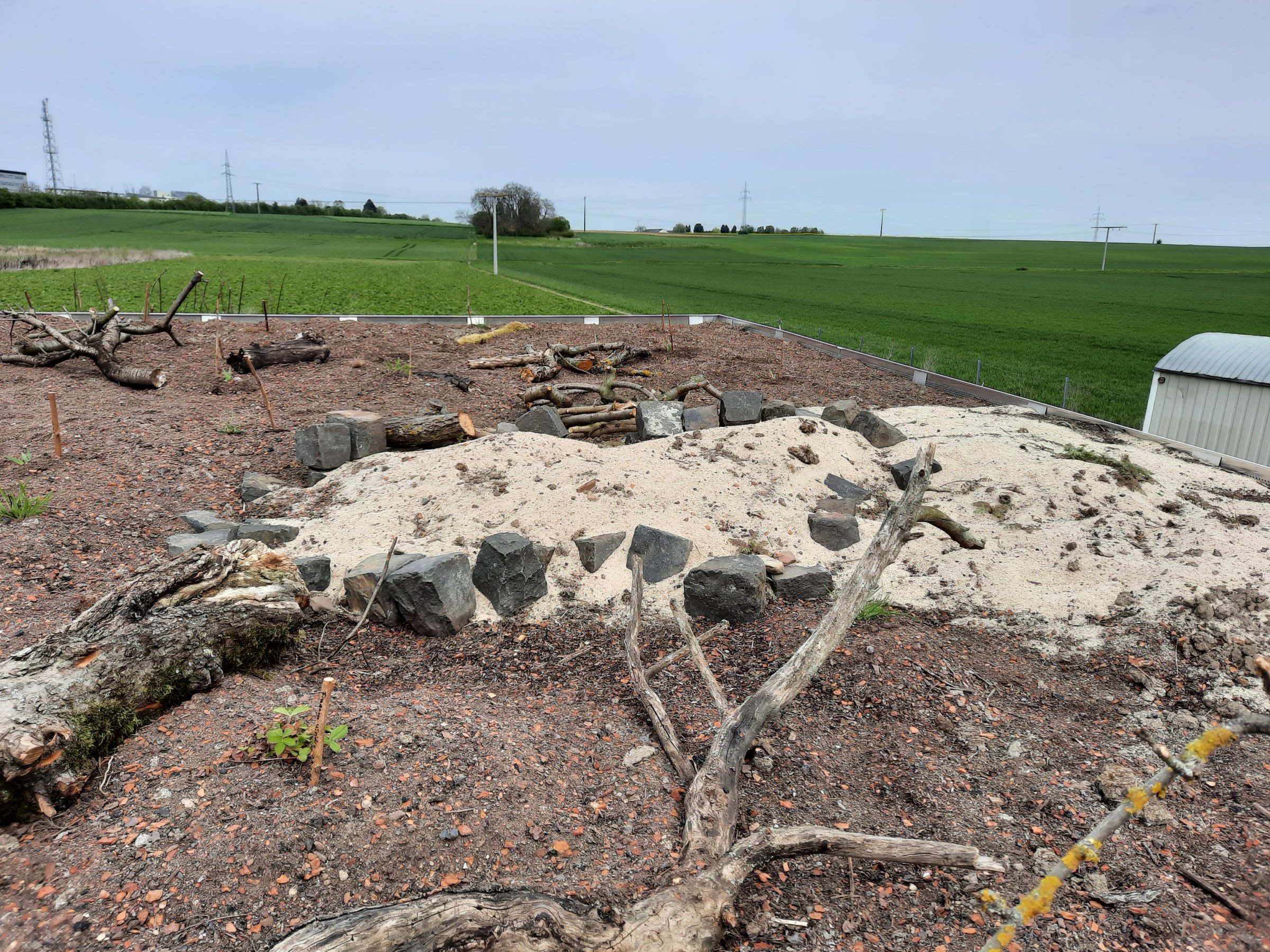 Biodiversitätsdach- Neuanlage Friedberg, 2021 Biodiversitätsdach- Neuanlage Friedberg, 2021
