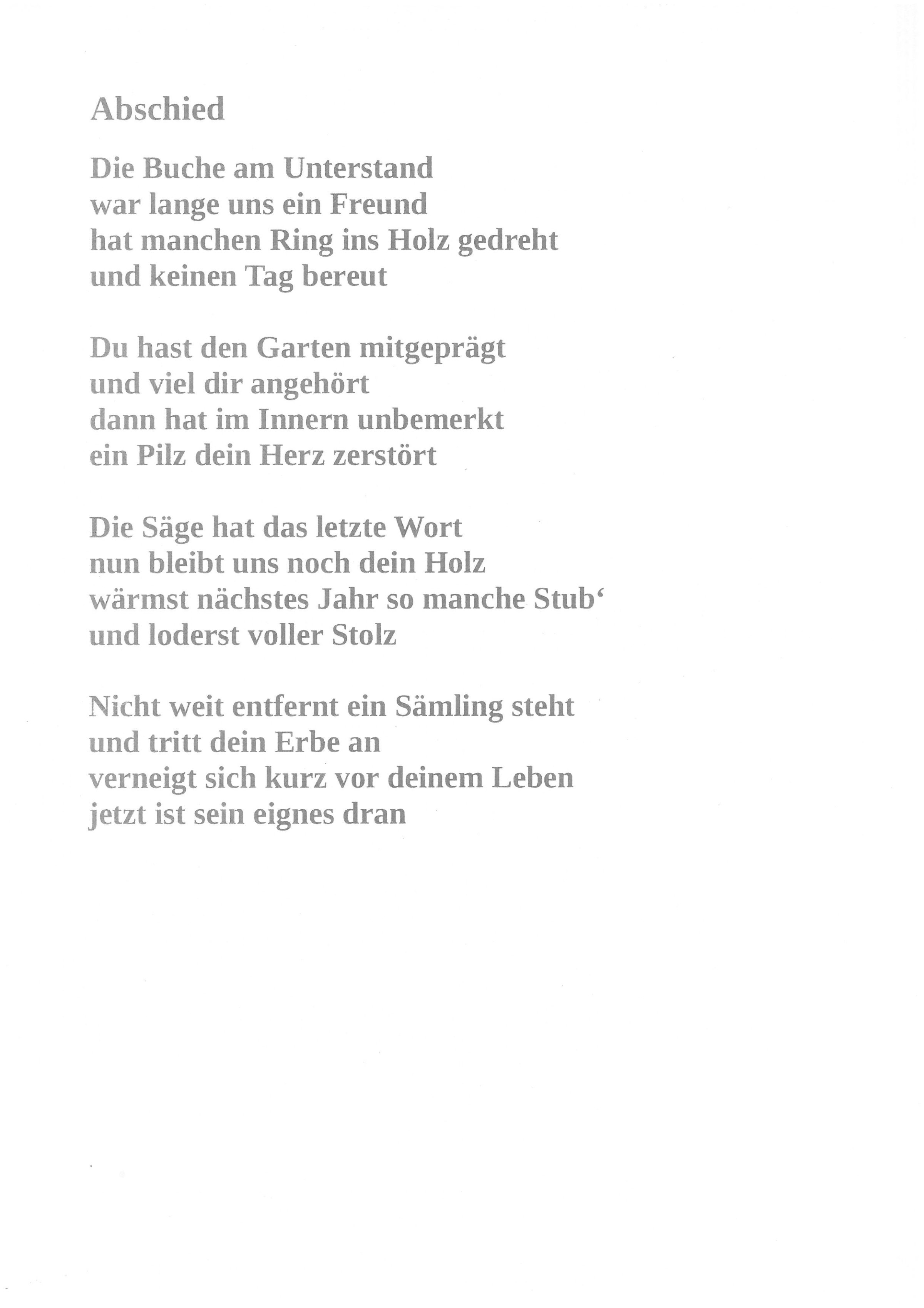 Gedicht Buche Gedicht Buche